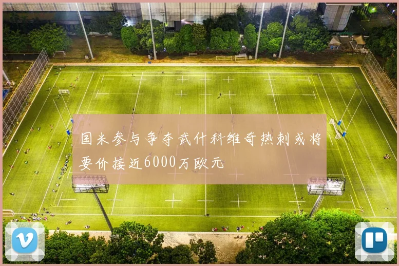 国米参与争夺武什科维奇热刺或将要价接近6000万欧元
